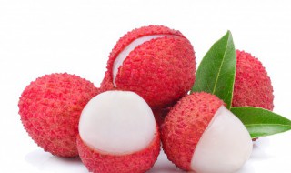 荔枝寓意（家里摆荔枝寓意）