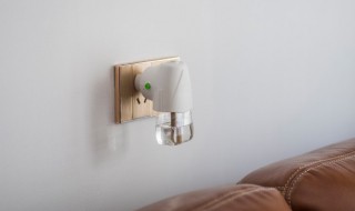 什么东西可以驱蚊（什么东西可以驱蚊而且没有味道）