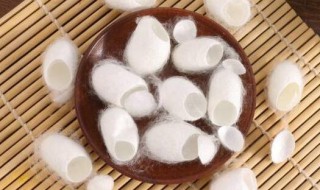 蚕茧是由几根蚕丝组成 一个蚕茧有几根丝构成