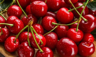 樱桃怎么邮寄不会坏 樱桃能快递吗 樱桃怎么寄不会坏