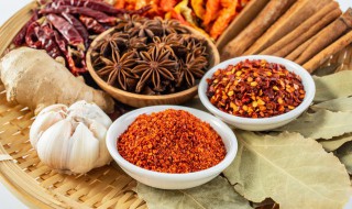 佐料和调料有哪些（佐料和调料有哪些区别）
