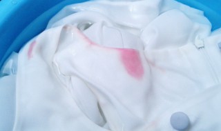 蓝色衣服掉色怎么恢复蓝色 蓝色衣服掉色怎么恢复蓝色呢