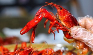 小龙虾放冰箱第二天能吃吗 小龙虾放冰箱第二天能吃吗怎么加热