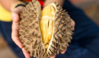 冰冻的榴莲怎么解冻（冰冻的榴莲怎么解冻好吃）