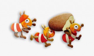 为什么大水蚁在下雨天才出现（大水蚁为啥下雨了才会出来）