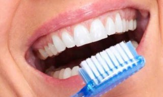 牙齿的用处和怎么保护 牙齿有什么用处,怎样保护我们的牙齿