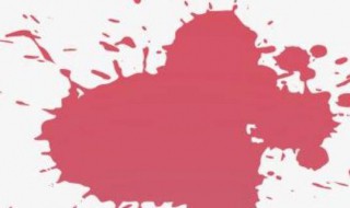 常见污渍的成分（什么是污渍）