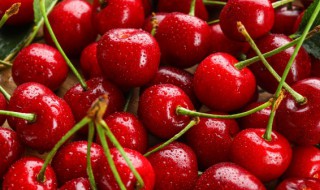 樱桃吃不完怎么处理 樱桃吃不完怎么处理最好