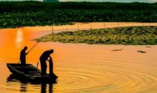 东平湖属于北五湖吗（东平湖属于南四湖吗）