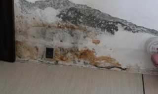 检测水管漏水的仪器 检测水管漏水的仪器多少钱