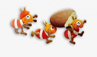 放什么东西可以赶走白蚁（什么可以驱赶白蚁）