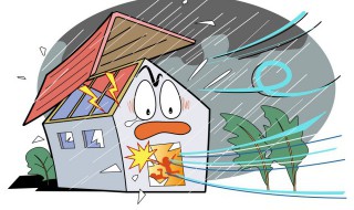 大风黄色和蓝色有什么区别 大风黄色和蓝色的区别