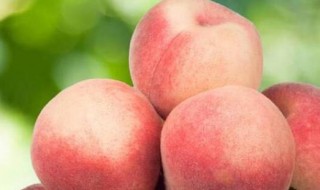 几月份吃桃子（几月可以吃桃子）