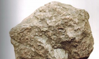 泥岩是什么岩（泥岩是什么岩性）