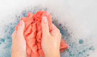 衣服染上桑葚怎么洗才能干净