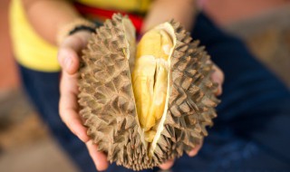 带壳榴莲怎么保存（带壳榴莲怎么保存才新鲜）