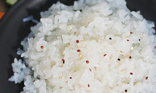 魔芋米可以长期代替米饭吗 洋芋可以代替米饭吗