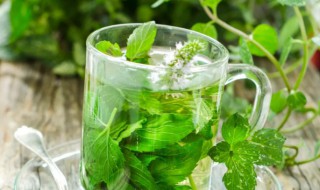 薄荷叶泡水用开水还是温水 薄荷叶泡水用开水还是温水泡
