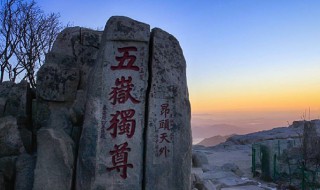 泰山高度（泰山高度1545米）