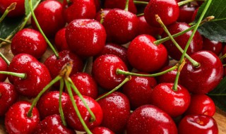 樱桃里面有虫吗（樱桃里面有虫吗?）