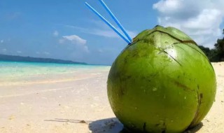 椰子是什么颜色的（没有成熟的椰子是什么颜色的）