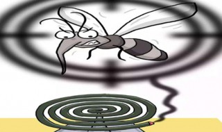 点了蚊香还是有蚊子怎么办（有蚊子除了点蚊香还有什么办法）