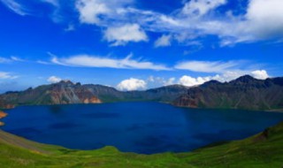 夏天虫子太多怎么办（夏天虫子太多怎么办视频）