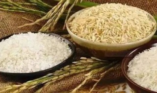 如何保护粮食安全 个人如何保护粮食安全