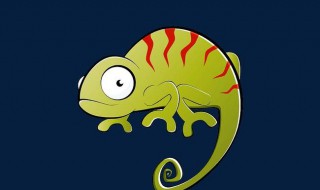 壁虎在家里怎么赶走它 壁虎在家里怎么赶走它蚊子药能赶走吗