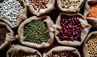 农产品分类 农产品分类与代码