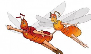 白蚁下雨天到处飞怎么解决 雨天白蚁到处飞怎么办