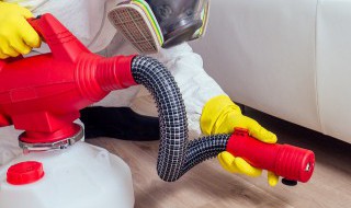 厨房很多小飞虫怎么办 厨房很多小飞虫怎么办图片