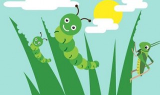 毛毛虫吃什么食物 毛毛虫吃什么食物图片简笔画