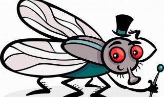苍蝇的天敌是谁 苍蝇的天敌是谁图片