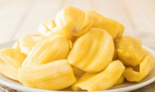 菠萝蜜怎么挑选果肉大 怎样挑选菠萝蜜果肉肉多核小