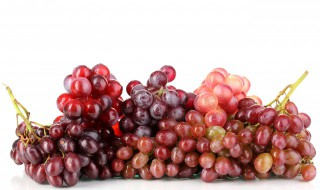 家里种葡萄吉利吗 家里种葡萄吉利吗视频