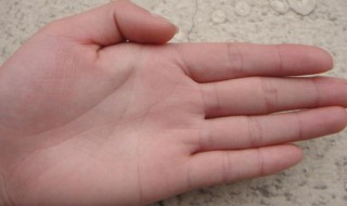 无名指下面的竖线代表什么 左手无名指下面的竖线代表什么