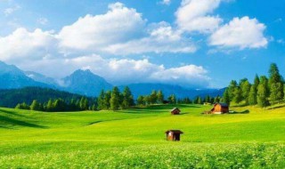 微信头像用什么最好最吉利 微信头像用什么最好最吉利 转运