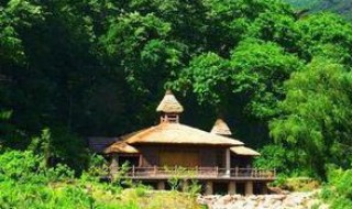 靠山的房子风水（靠山的房子风水好）