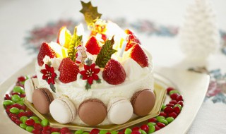 12寸蛋糕多大要参照物（11寸蛋糕有多大参照物）