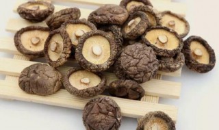 香菇可以和哪些菜搭配 香菇可以和哪些菜搭配一起炒