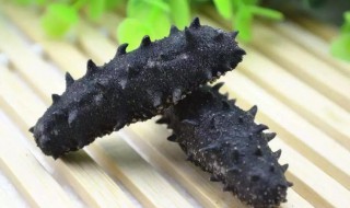 如何清洗干海参 干海参的清洗方法