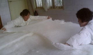 蚕丝被会长螨虫吗 蚕丝被会长螨虫吗图片