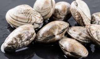 花甲如何清洗干净 花甲如何清洗干净图解