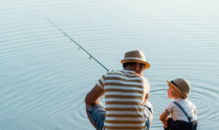 夏季手竿夜钓鳜鱼技巧及方法（夏季手竿夜钓鳜鱼技巧及方法图解）