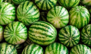 瓜怎么挑选（哈密瓜怎么挑选）