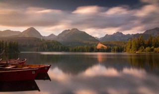 月柱代表什么（月柱代表什么六亲）