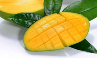 大青芒软了好吃还是硬点好吃（大青芒是软的还是硬的）