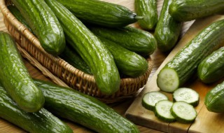 黄瓜摘叶选什么时间好（黄瓜摘叶好还是不摘叶好）