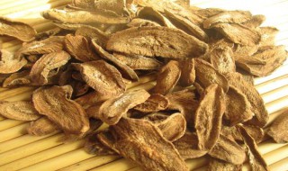 牛蒡是什么东西 牛蒡是牛的什么器官